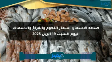 صدمة الأسعار: أسعار اللحوم والفراخ والأسماك اليوم السبت 19 أبريل 2025
